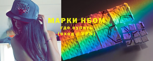 прущие грибы Белокуриха