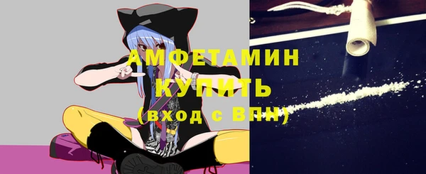 прущие грибы Белокуриха