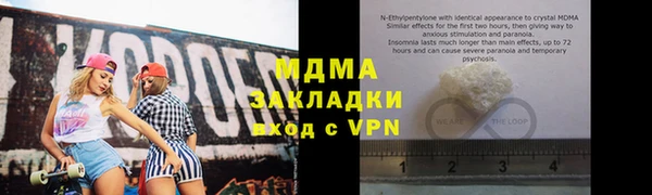 прущие грибы Белокуриха