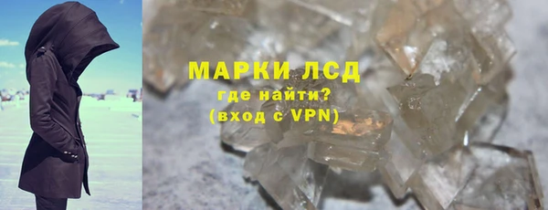 прущие грибы Белокуриха