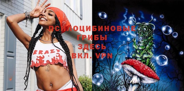 гидра Беломорск