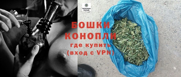прущие грибы Белокуриха