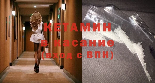 прущие грибы Белокуриха