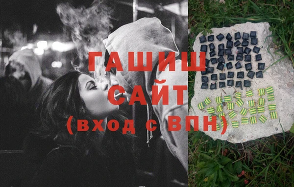 прущие грибы Белокуриха